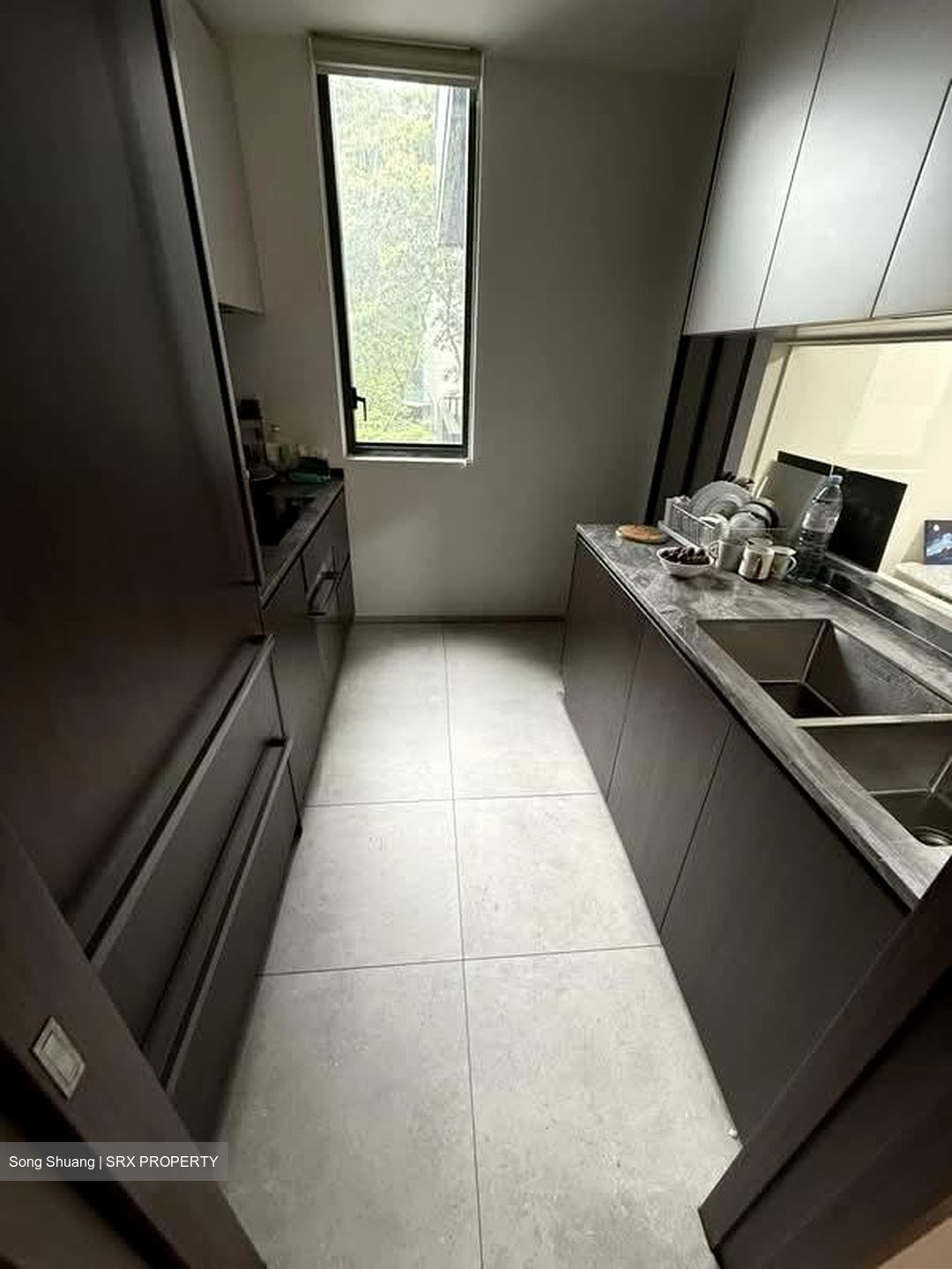 Leedon Green (D10), Condominium #581517771